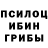 Галлюциногенные грибы прущие грибы Chargoo Noon