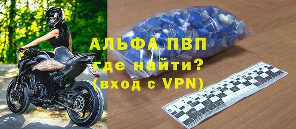 гидра Абаза