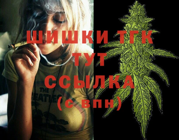 гидра Абаза