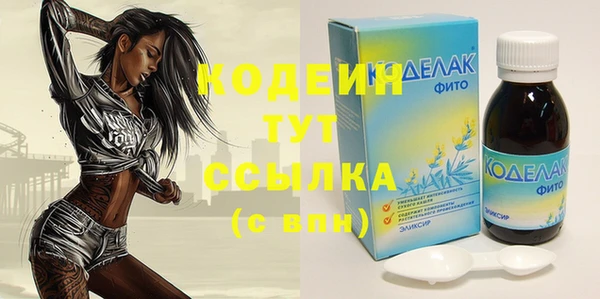 гидра Абаза
