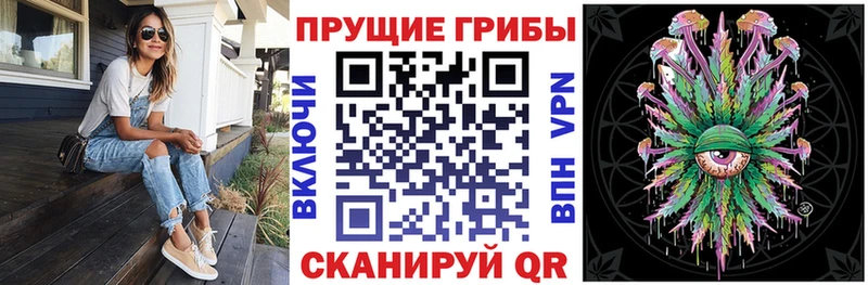 Псилоцибиновые грибы GOLDEN TEACHER  Новотроицк 
