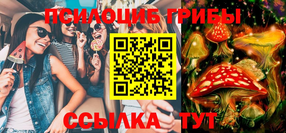 Галлюциногенные грибы ЛСД Новотроицк