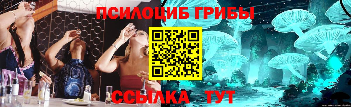 Новотроицк  Галлюциногенные грибы MAGIC MUSHROOMS  Вход с VPN  наркошоп  Псилоцибиновые грибы MAGIC MUSHROOMS 